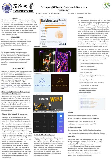Developing NFTs using Sustainable Blockchain Technology
