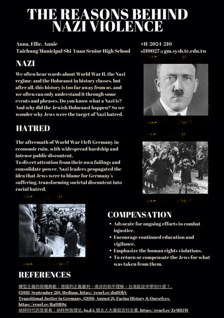 The Reasons Behind Nazi Violence