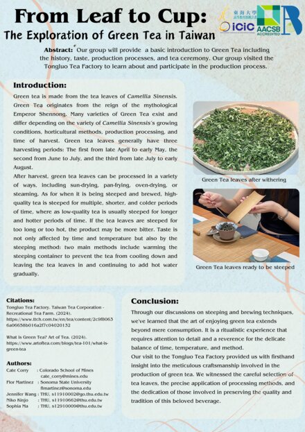 From Leaf to Cup: The Exploration of Green Tea in Taiwan