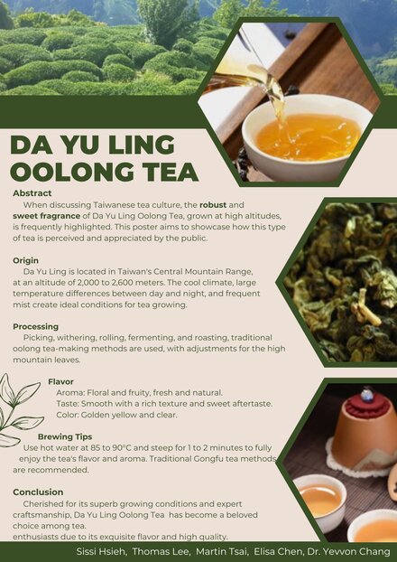 Da Yu Ling Oolong Tea