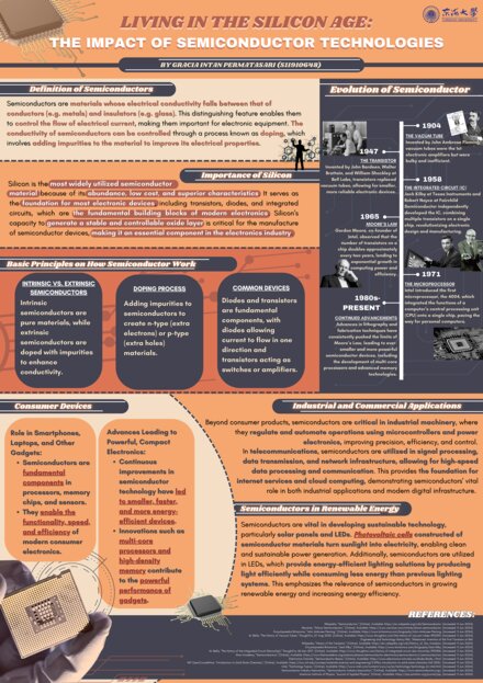 Living in the Silicon Age: The Impact of Semiconductor Technologies