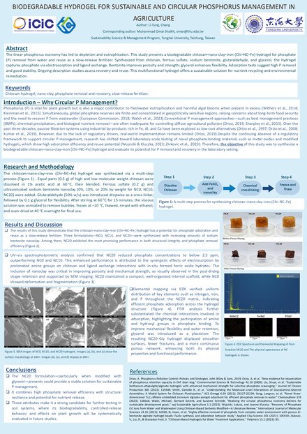 Biodegradable Hydrogel for Sustainable and Circular Phosphorus Management in Agriculture