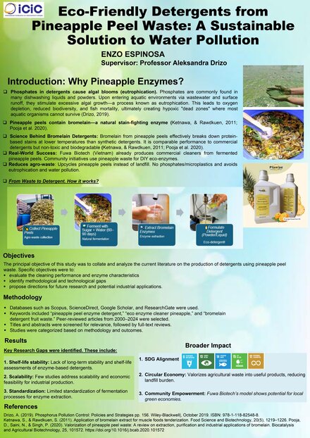 Production of Detergent from Pineapple Peel Waste Enzymes: A Literature Review