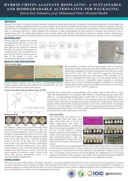 Hybrid Chitin-Alginate Bioplastic: A Sustainable and Biodegradable Alternative for Packaging