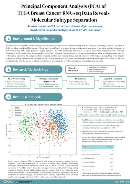 Principal Component Analysis (PCA) of TCGA Breast Cancer RNA-seq Data Reveals Molecular Subtype Separation