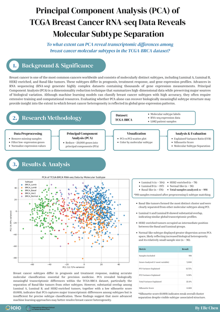 Principal Component Analysis (PCA) of TCGA Breast Cancer RNA-seq Data Reveals Molecular Subtype Separation