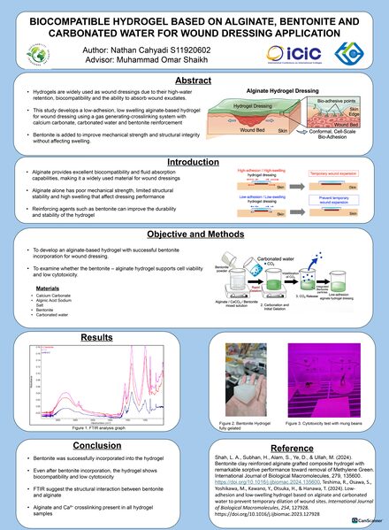 Biocompatible Hydrogel based on alginate, bentonite and carbonated water for wound dressing application
