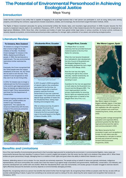 The Potential of Environmental Personhood in Achieving Ecological Justice 